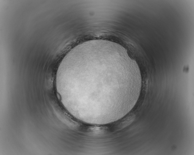 X0000111630558200908141346