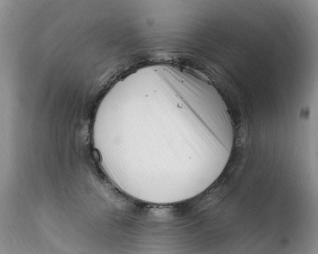 X0000111630560200908141346
