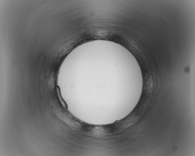 X0000111630562200908141346