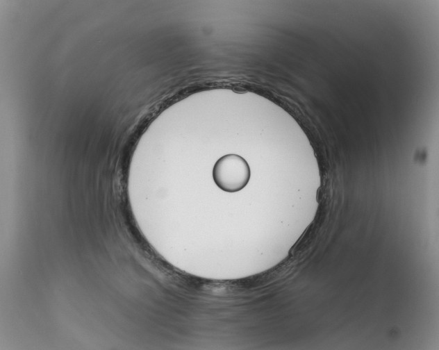 X0000111630564200908141346