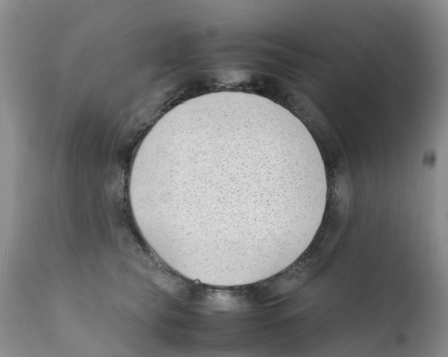 X0000111630565200908141346
