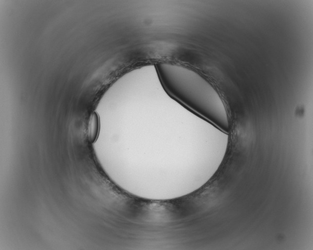 X0000111630566200908141346
