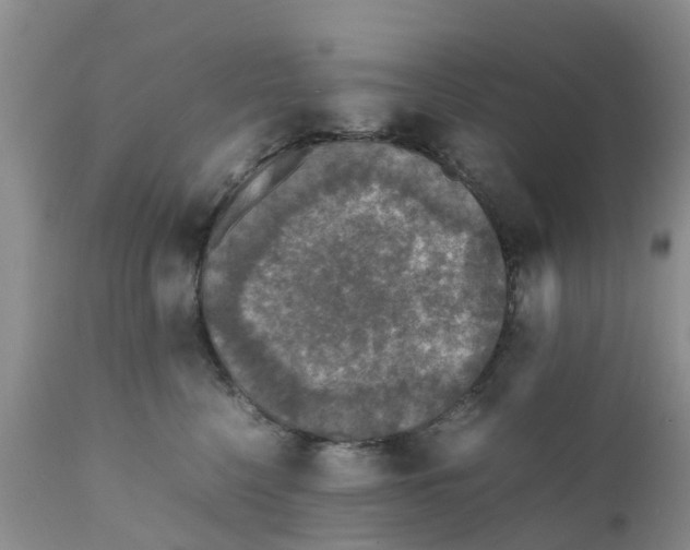 X0000111630568200908141346