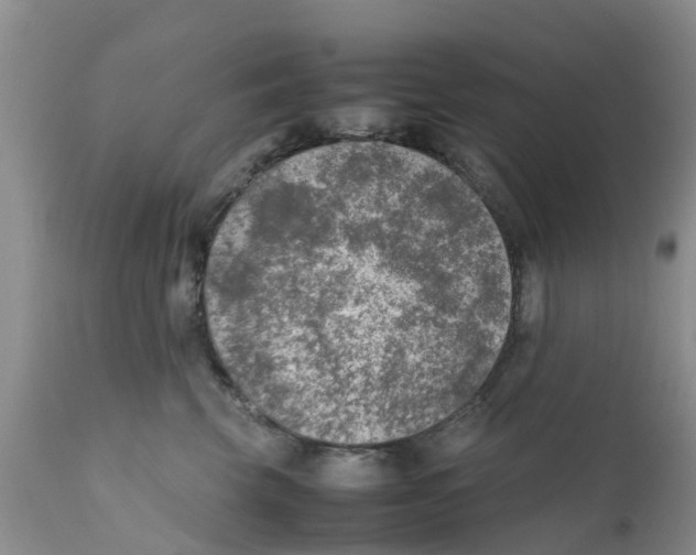 X0000111630569200908141346