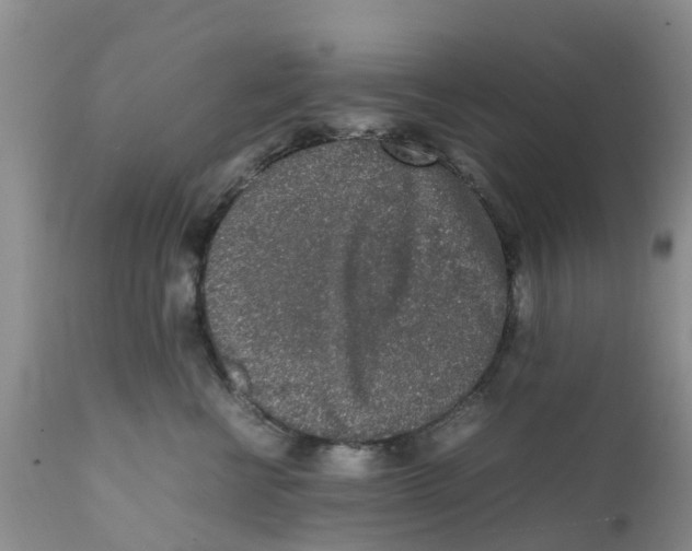 X0000111630570200908141346