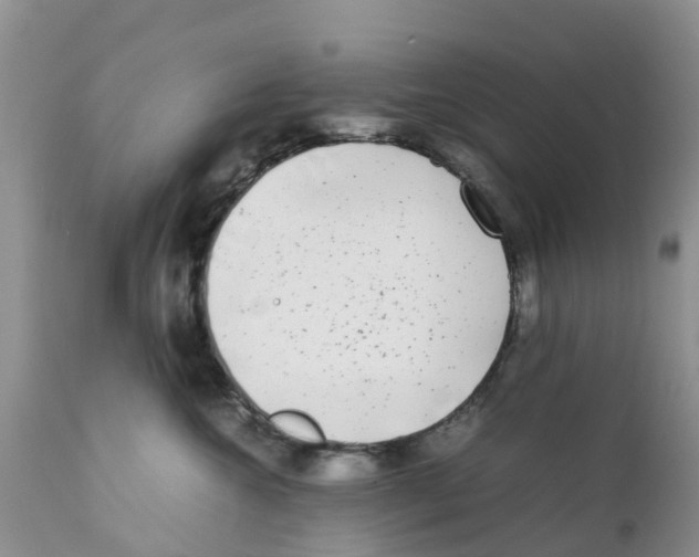 X0000111630572200908141346