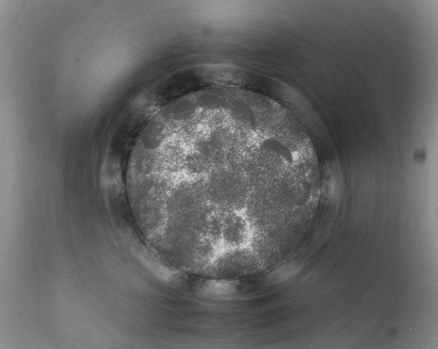 X0000111630573200908141346
