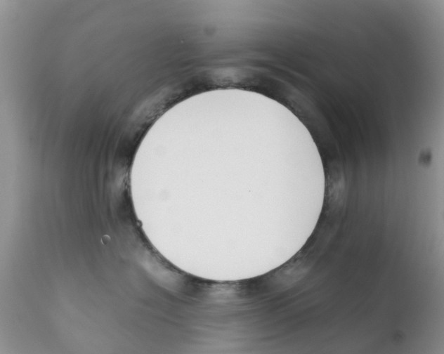 X0000111630574200908141346
