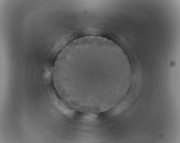 X0000111630576200908141346