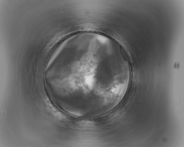 X0000111630577200908141345
