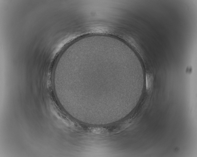 X0000111630579200908141345