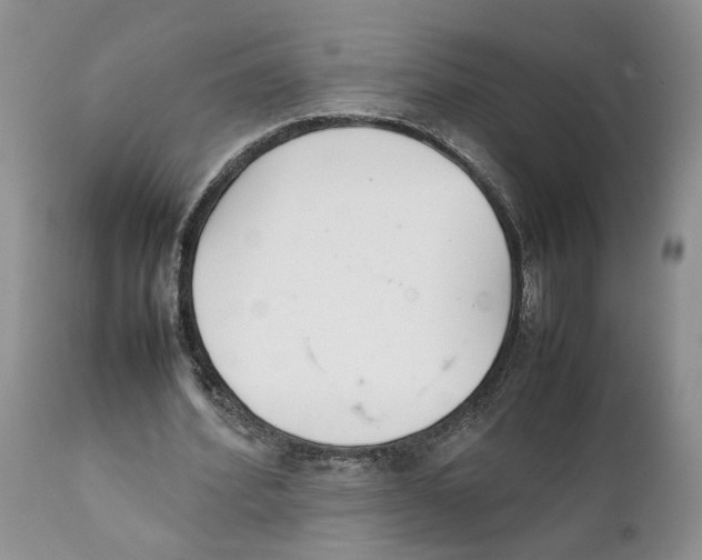 X0000111630580200908141345