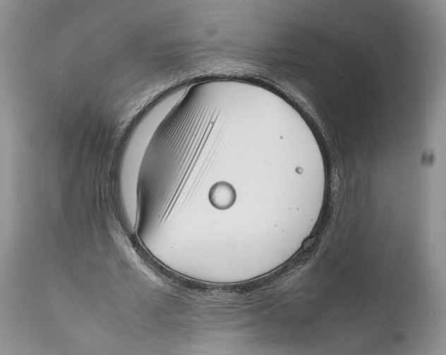 X0000111630581200908141345