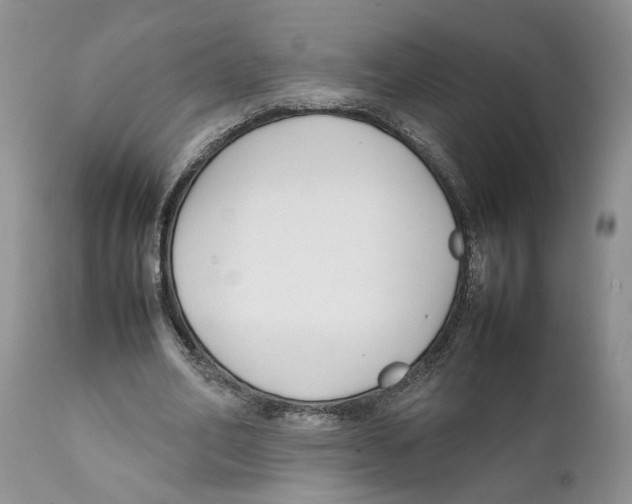 X0000111630582200908141345