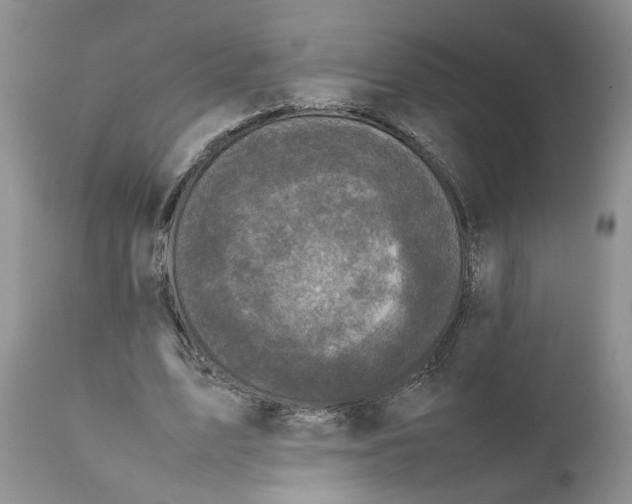 X0000111630583200908141345