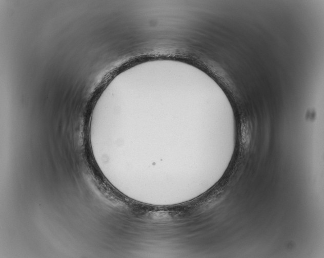 X0000111630588200908141345