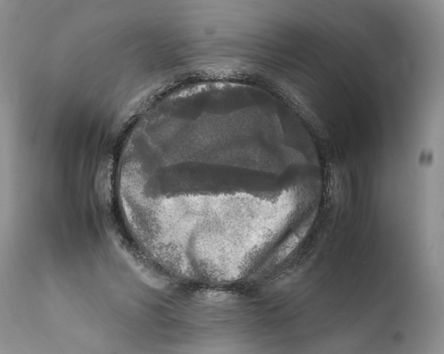 X0000111630590200908141345