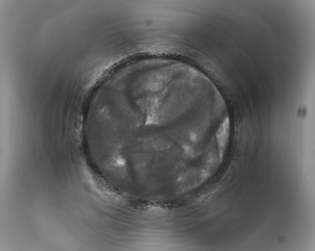 X0000111630592200908141345