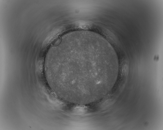 X0000111630595200908141345