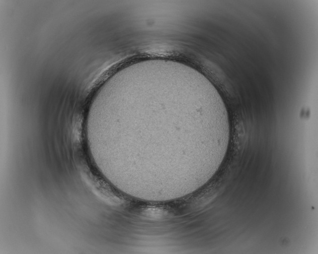 X0000111630596200908141345