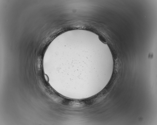 X0000111630597200908141345