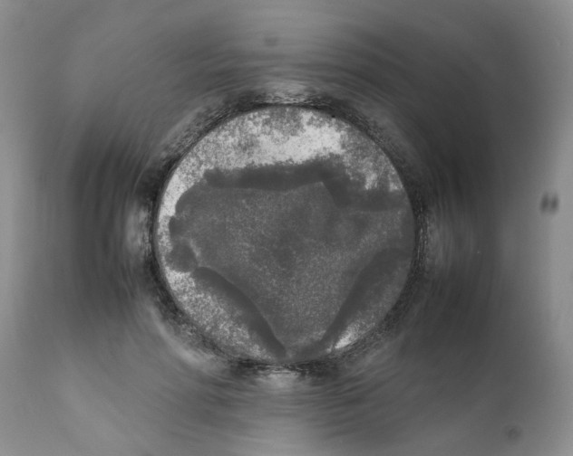 X0000111630598200908141345