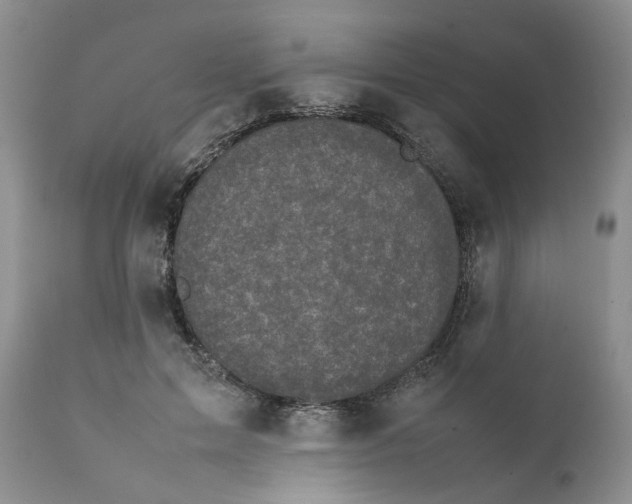 X0000111630599200908141345