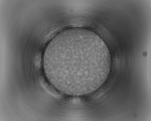 X0000111630600200908141345
