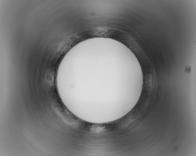 X0000111630602200908141345