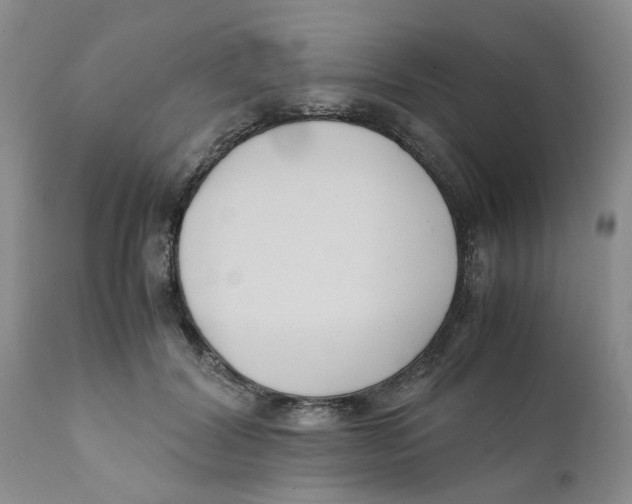 X0000111630604200908141345