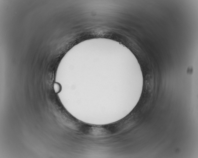 X0000111630605200908141345