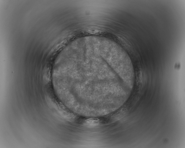 X0000111630606200908141345