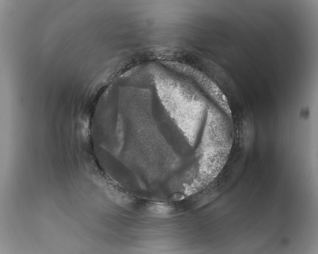 X0000111630610200908141344