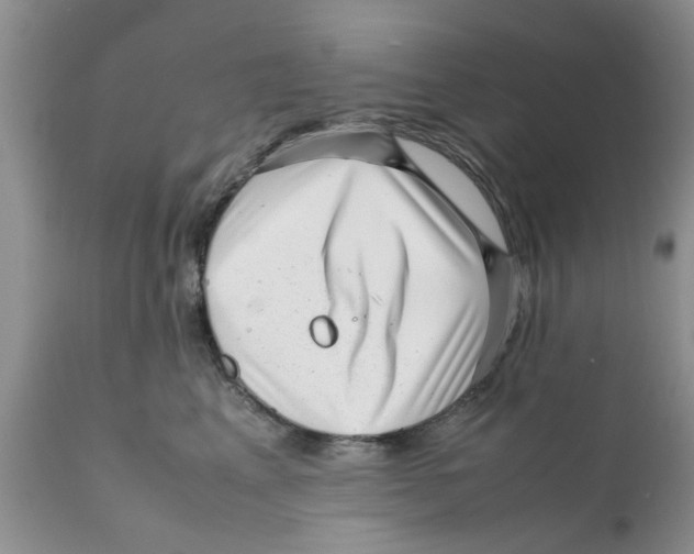 X0000111630617200908141344