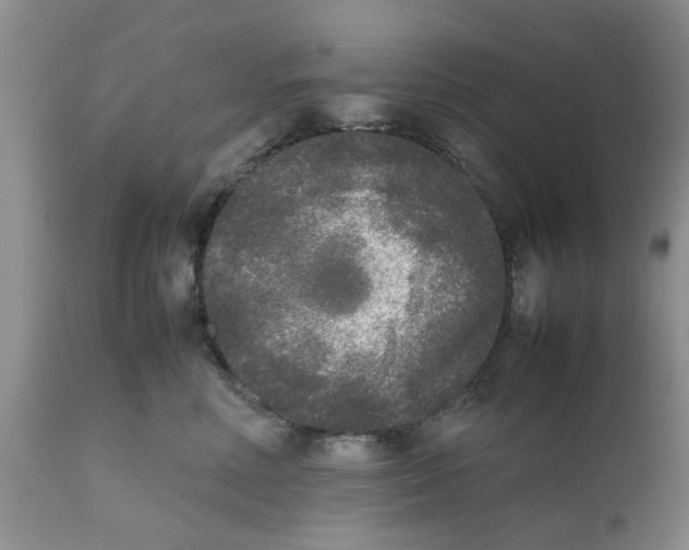 X0000111630618200908141344