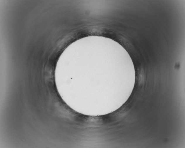 X0000111630619200908141344