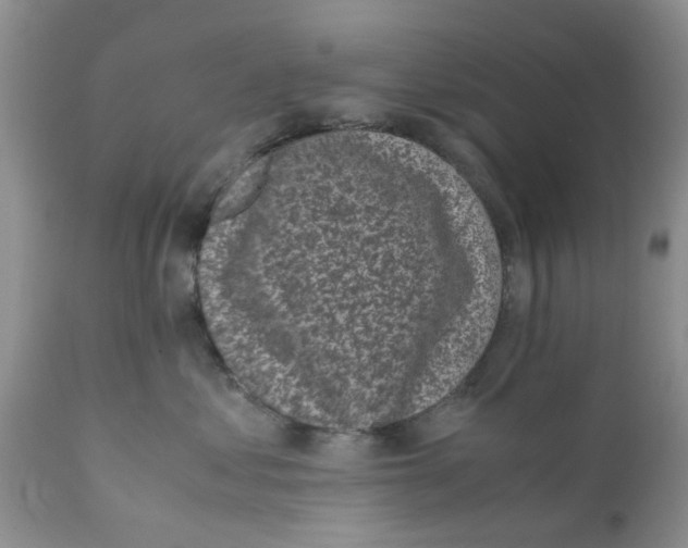 X0000111630621200908141344