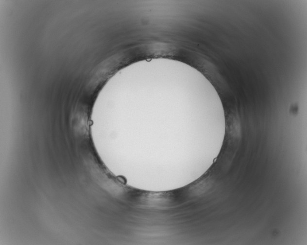 X0000111630622200908141344