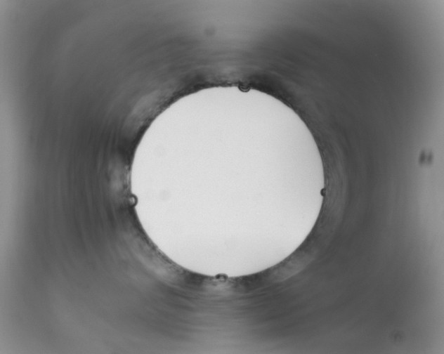 X0000111630624200908141344