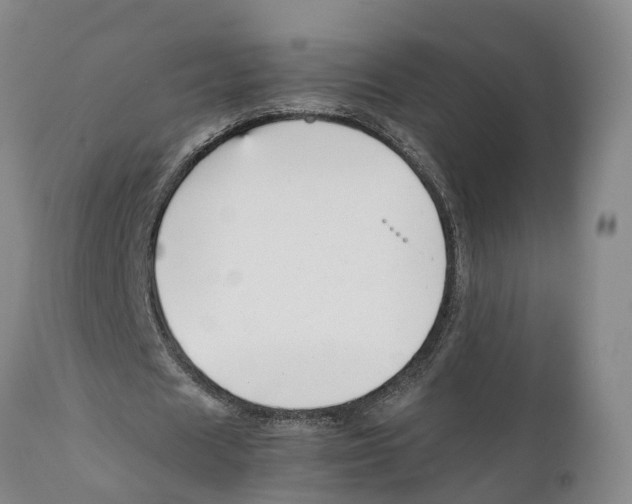 X0000111630625200908141343