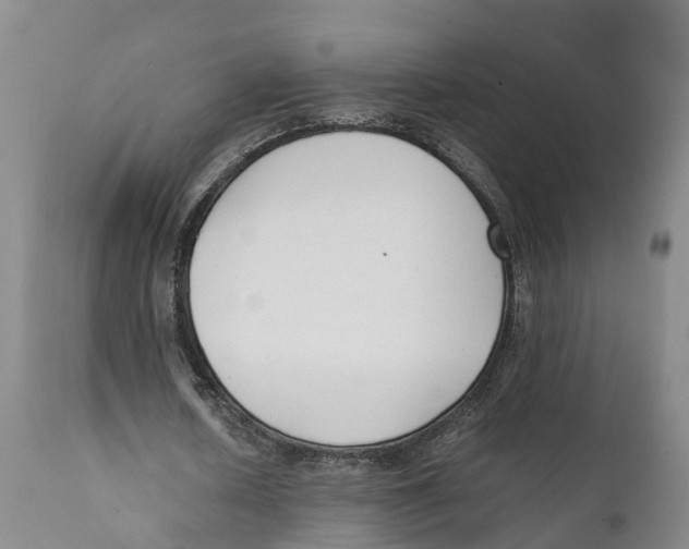 X0000111630626200908141343