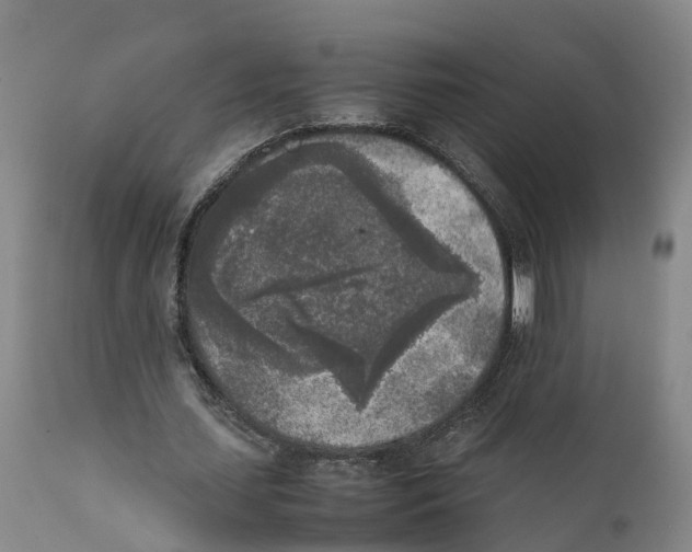 X0000111630627200908141343