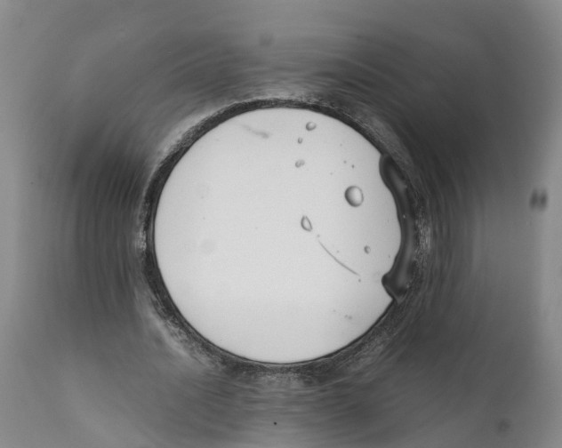 X0000111630628200908141344