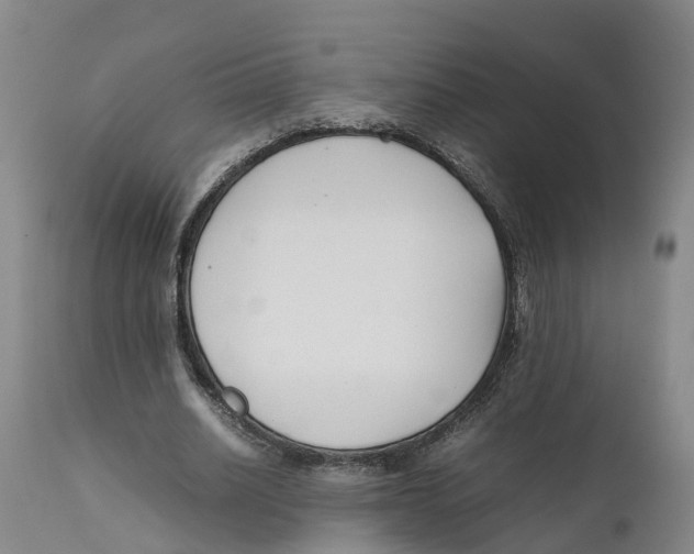 X0000111630630200908141344