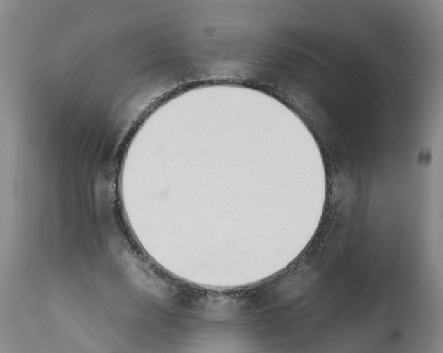 X0000111630632200908141344