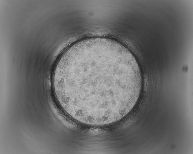X0000111630634200908141344