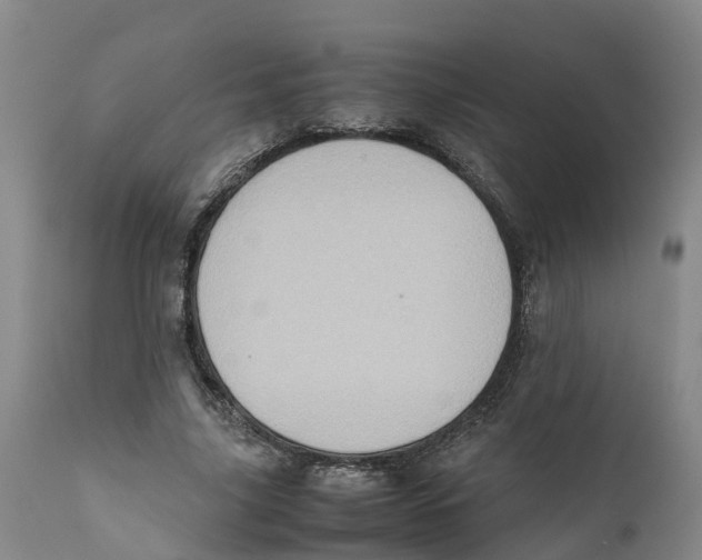X0000111630635200908141344
