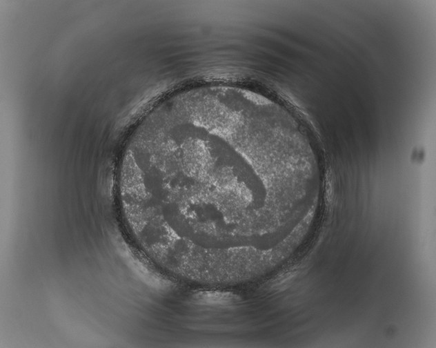 X0000111630637200908141344