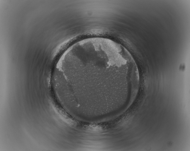 X0000111630640200908141344