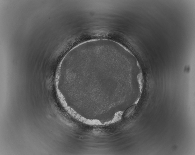 X0000111630641200908141344